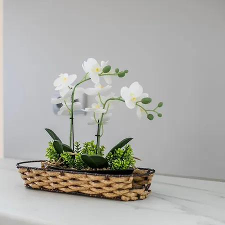 Palmtrees Apartament Afantou