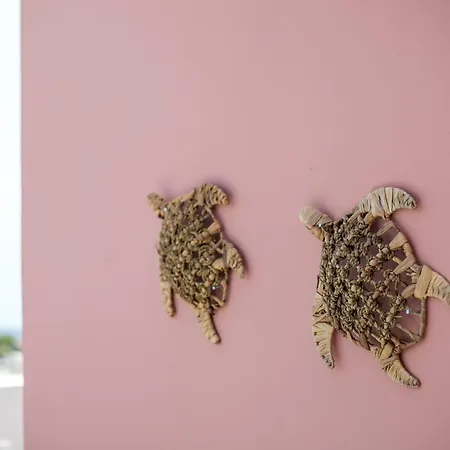 Palmtrees Appartement *