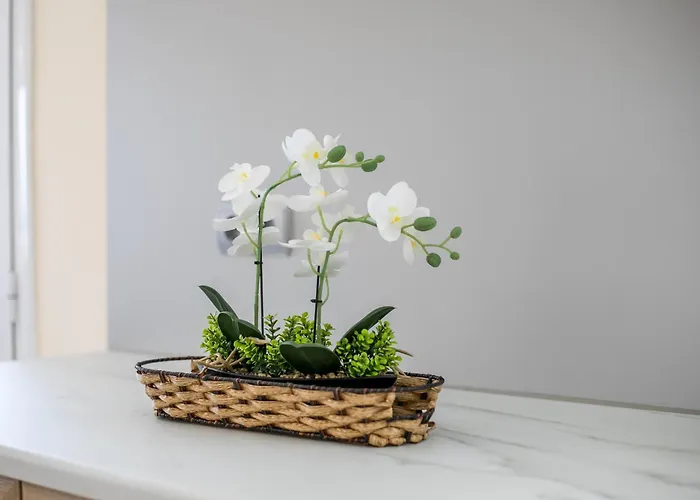 Palmtrees Apartmán Afantou